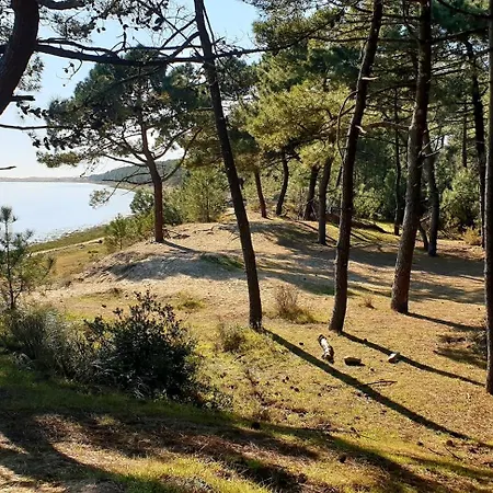 Campingplads Mobil-home 770 - Climatise - Les Charmettes Les Mathes