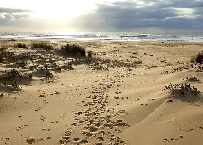 Mobil-Home 770 - Climatise - Les Charmettes Кемпинг Ле-Мат