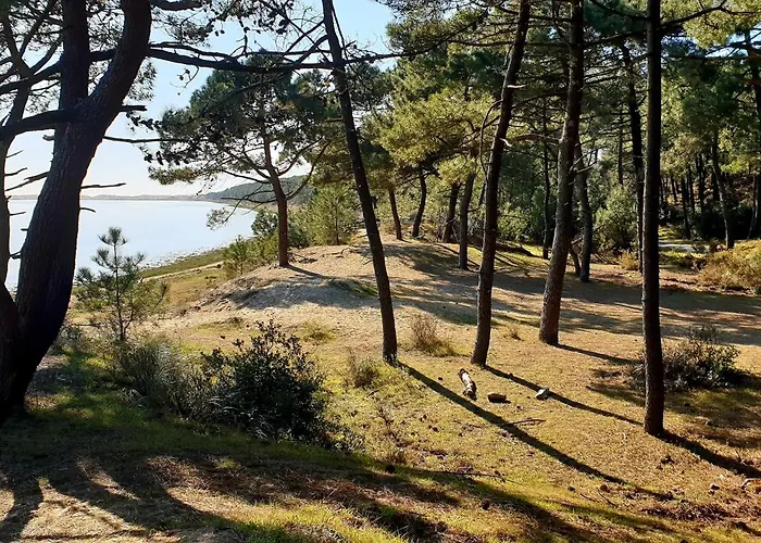 Кемпинг Mobil-Home 770 - Climatise - Les Charmettes Ле-Мат