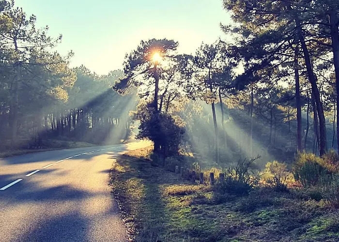 Mobil-Home 770 - Climatise - Les Charmettes